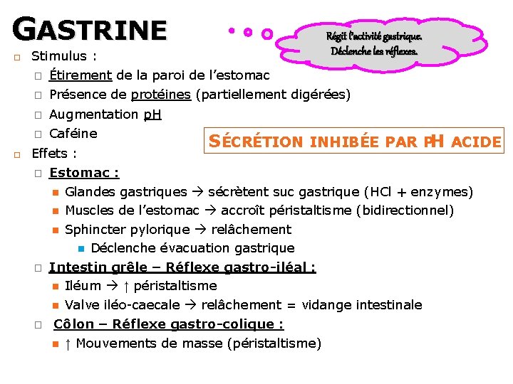 GASTRINE Régit l’activité gastrique. Déclenche les réflexes. Stimulus : � Étirement de la paroi GASTRINE Régit l’activité gastrique. Déclenche les réflexes. Stimulus : � Étirement de la paroi