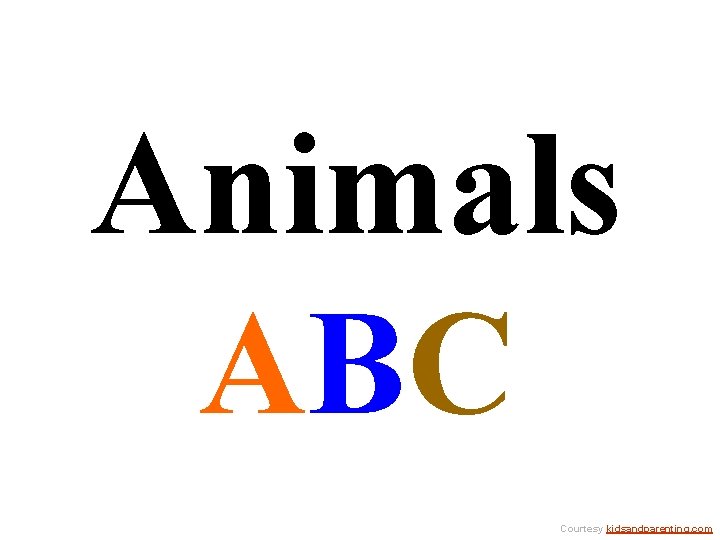 Animals ABC Courtesy kidsandparenting. com 