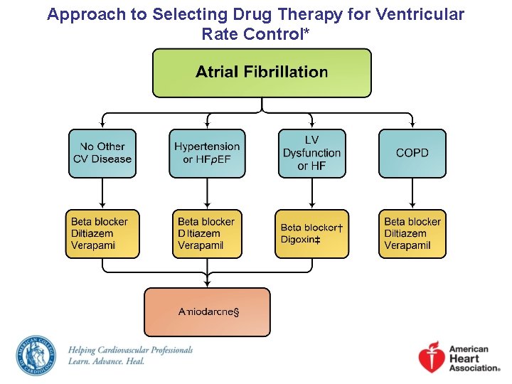 Approach to Selecting Drug Therapy for Ventricular Rate Control* 