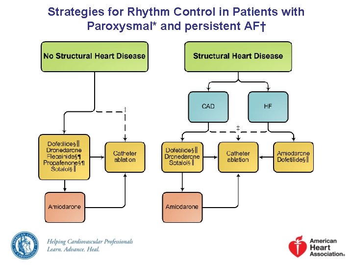 Strategies for Rhythm Control in Patients with Paroxysmal* and persistent AF† 