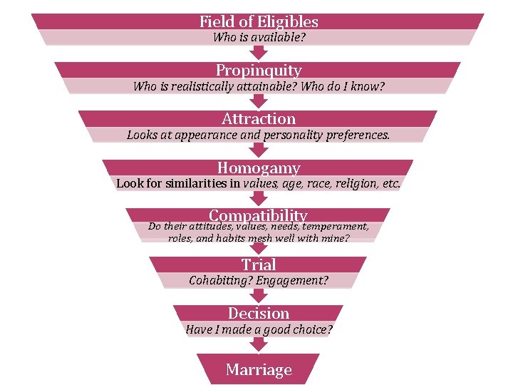 Field of Eligibles Who is available? Propinquity Who is realistically attainable? Who do I