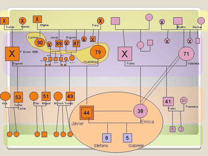 X X X Efiginio Máxima Tomás Carmen Jesús 90 X + Pura x 89