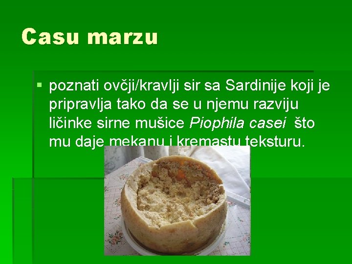 Casu marzu § poznati ovčji/kravlji sir sa Sardinije koji je pripravlja tako da se