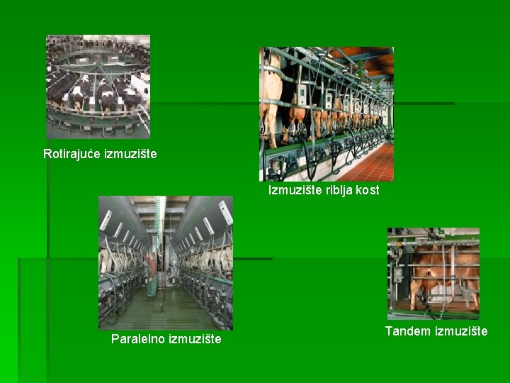 Rotirajuće izmuzište Izmuzište riblja kost Paralelno izmuzište Tandem izmuzište 