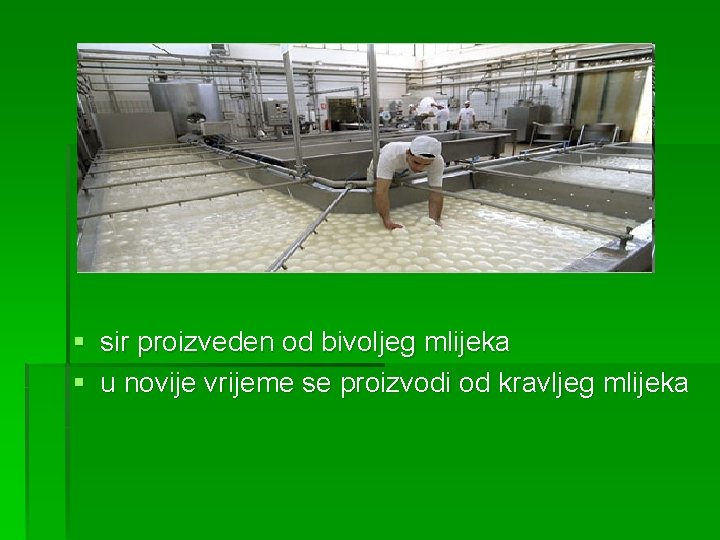 § § sir proizveden od bivoljeg mlijeka u novije vrijeme se proizvodi od kravljeg