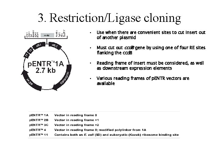 3. Restriction/Ligase cloning • Use when there are convenient sites to cut insert out