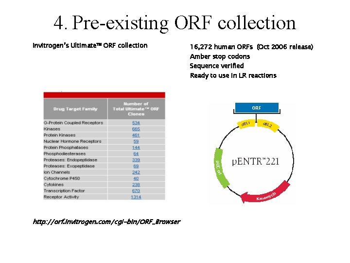 4. Pre-existing ORF collection Invitrogen’s Ultimate™ ORF collection 16, 272 human ORFs (Oct 2006