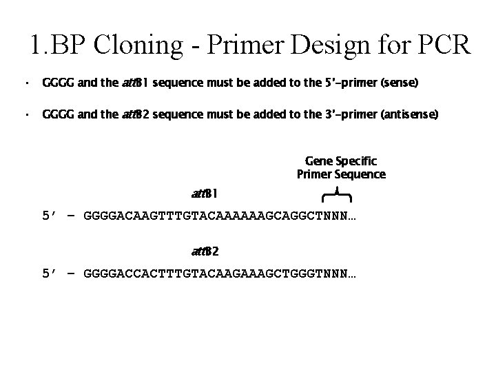 1. BP Cloning - Primer Design for PCR • GGGG and the att. B