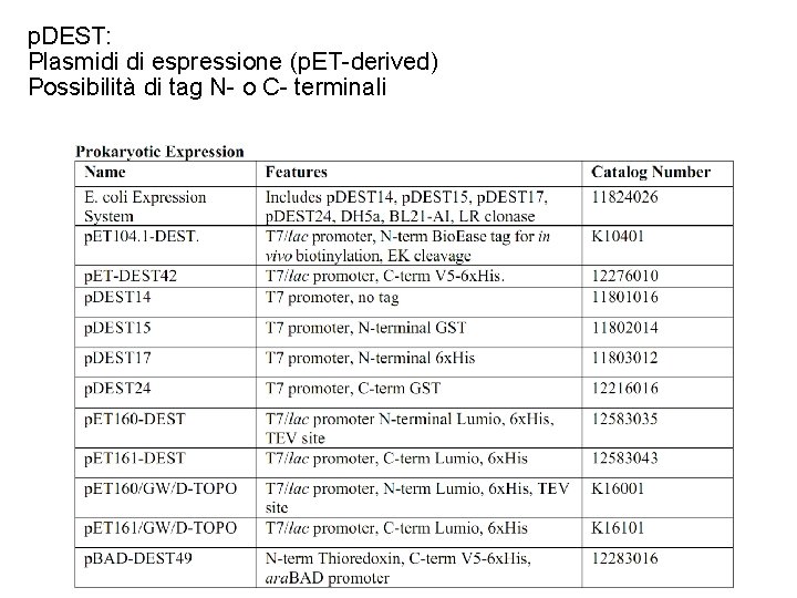 p. DEST: Plasmidi di espressione (p. ET-derived) Possibilità di tag N- o C- terminali