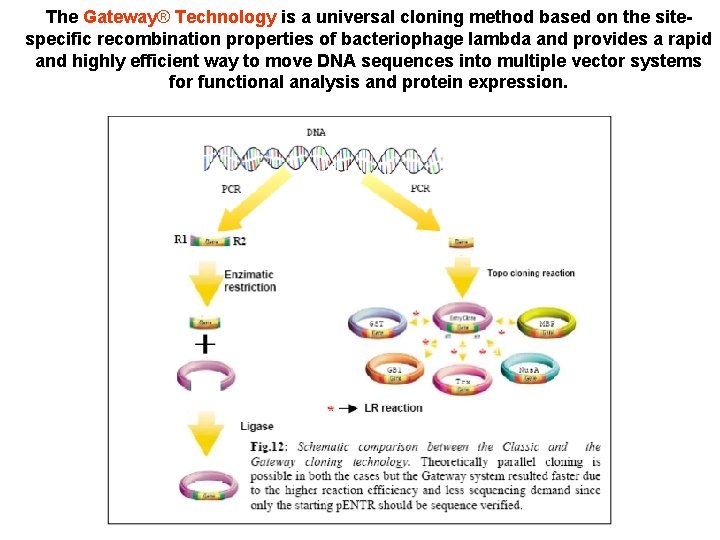 The Gateway® Technology is a universal cloning method based on the sitespecific recombination properties