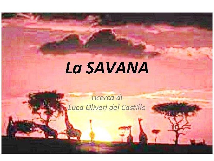 . La SAVANA ricerca di Luca Oliveri del Castillo 