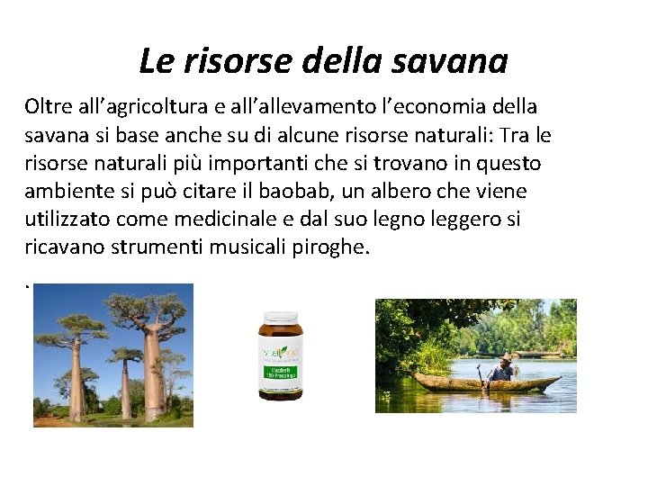 Le risorse della savana Oltre all’agricoltura e all’allevamento l’economia della savana si base anche