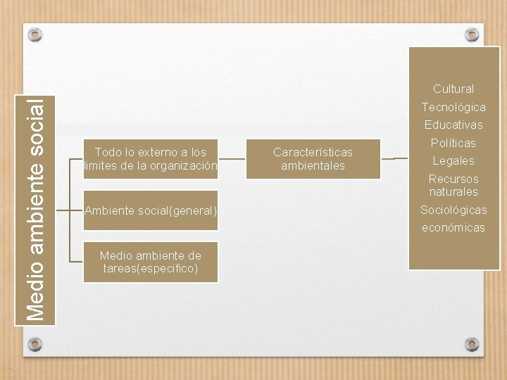 Medio ambiente social Todo lo externo a los limites de la organización Ambiente social(general)