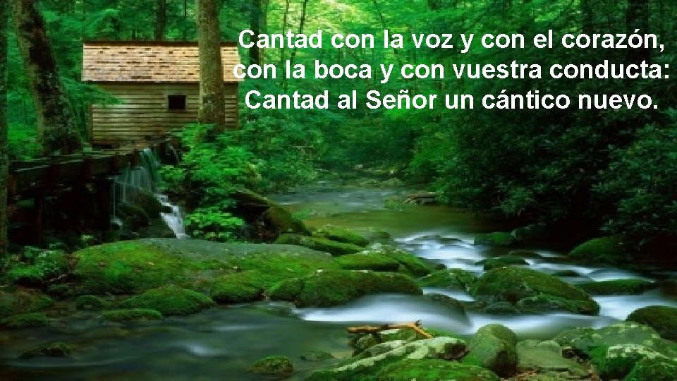 Cantad con la voz y con el corazón, con la boca y con vuestra