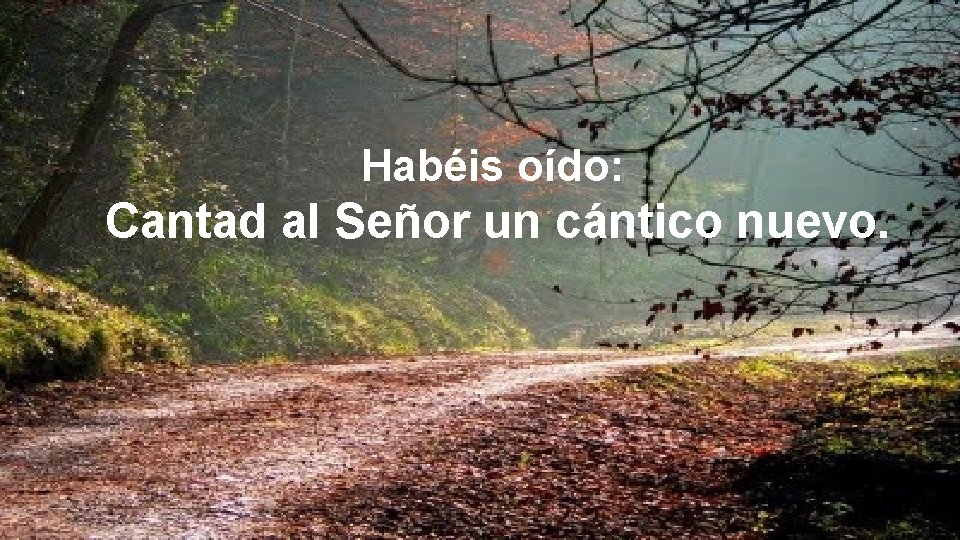 Habéis oído: Cantad al Señor un cántico nuevo. 