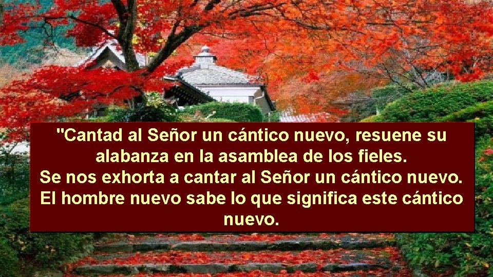 "Cantad al Señor un cántico nuevo, resuene su alabanza en la asamblea de los