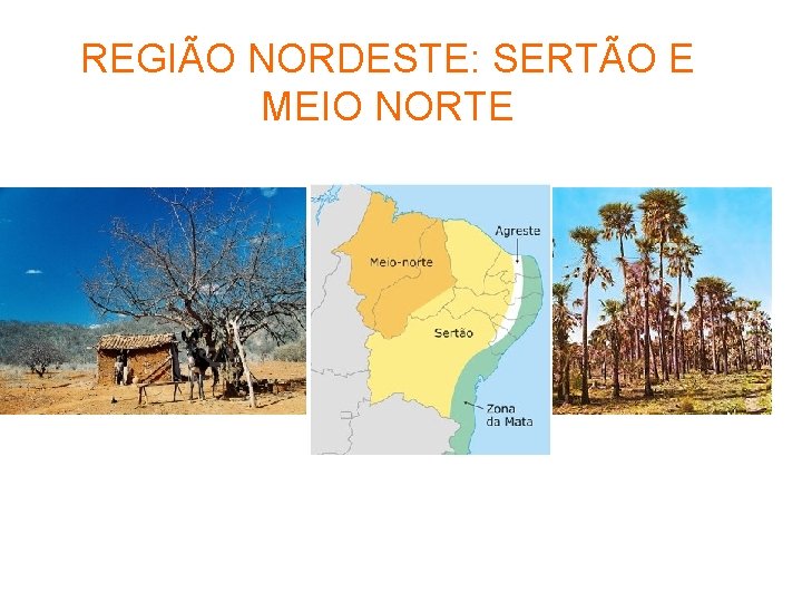 REGIÃO NORDESTE: SERTÃO E MEIO NORTE 