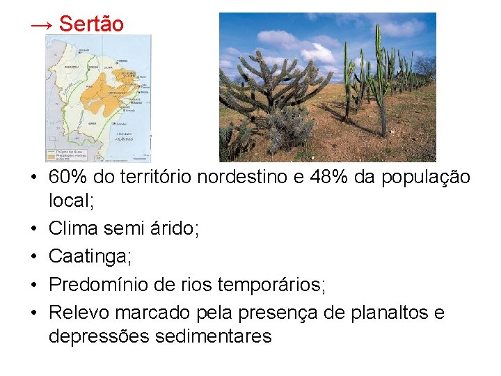 → Sertão • 60% do território nordestino e 48% da população local; • Clima