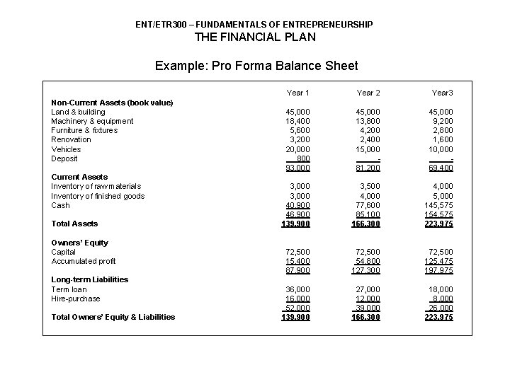 ENT/ETR 300 – FUNDAMENTALS OF ENTREPRENEURSHIP THE FINANCIAL PLAN Example: Pro Forma Balance Sheet