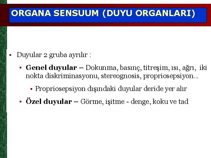 ORGANA SENSUUM (DUYU ORGANLARI) • Duyular 2 gruba ayrılır : • Genel duyular –