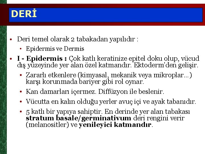 DERİ • Deri temel olarak 2 tabakadan yapılıdır : • Epidermis ve Dermis •