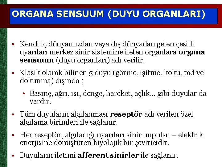 ORGANA SENSUUM (DUYU ORGANLARI) • Kendi iç dünyamızdan veya dış dünyadan gelen çeşitli uyarıları