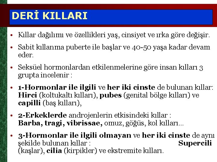 DERİ KILLARI • Kıllar dağılımı ve özellikleri yaş, cinsiyet ve ırka göre değişir. •