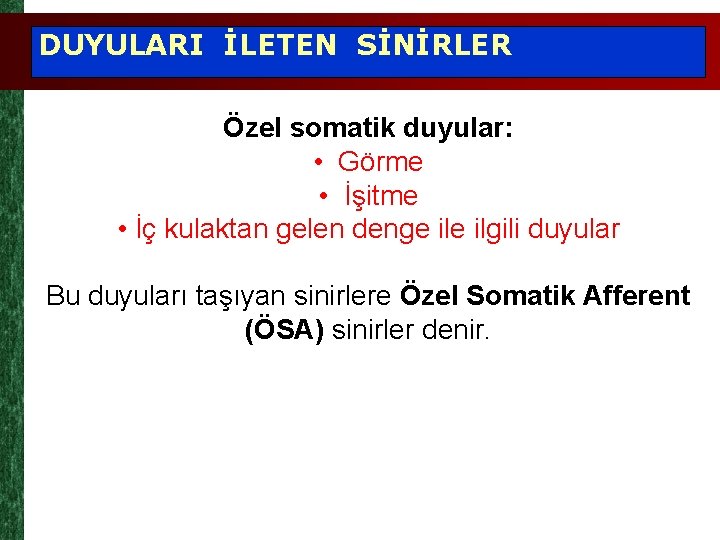 DUYULARI İLETEN SİNİRLER Özel somatik duyular: • Görme • İşitme • İç kulaktan gelen