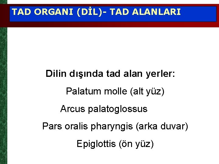 TAD ORGANI (DİL)- TAD ALANLARI Dilin dışında tad alan yerler: Palatum molle (alt yüz)