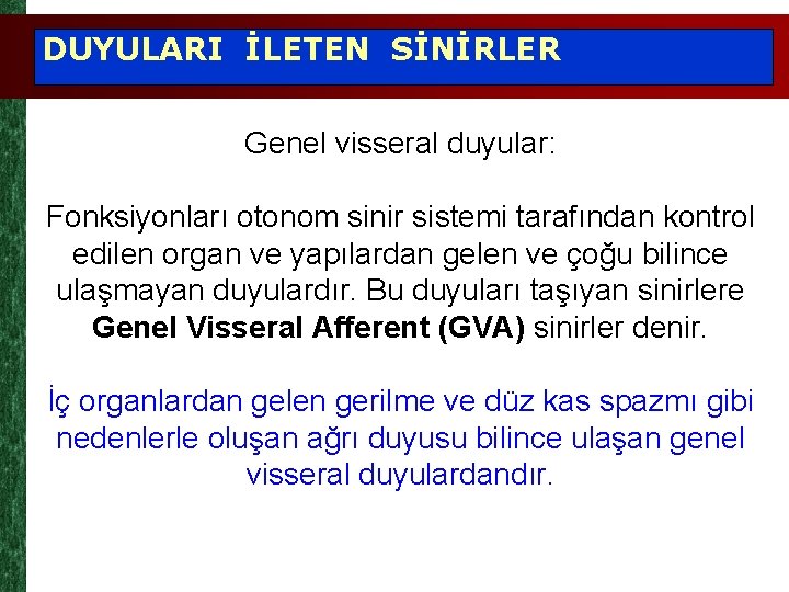 DUYULARI İLETEN SİNİRLER Genel visseral duyular: Fonksiyonları otonom sinir sistemi tarafından kontrol edilen organ