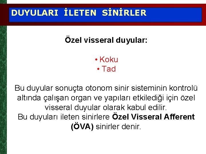 DUYULARI İLETEN SİNİRLER Özel visseral duyular: • Koku • Tad Bu duyular sonuçta otonom