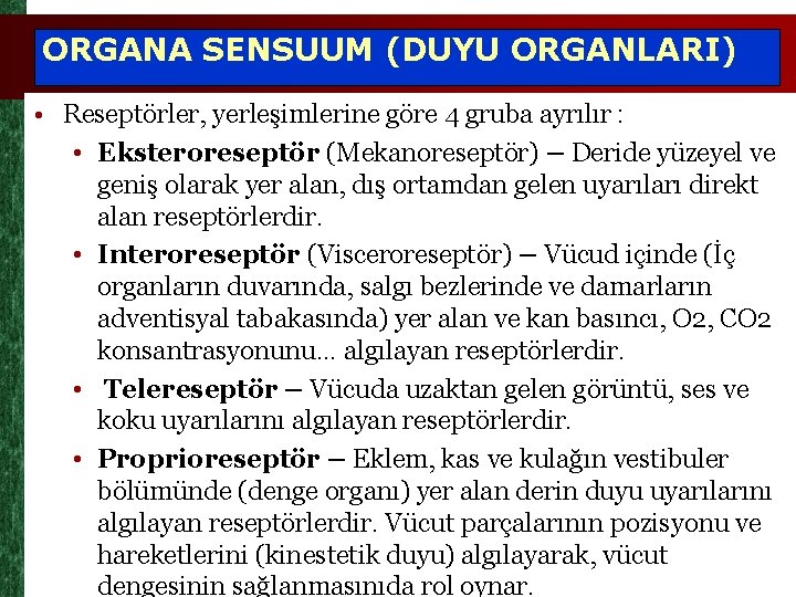 ORGANA SENSUUM (DUYU ORGANLARI) • Reseptörler, yerleşimlerine göre 4 gruba ayrılır : • Eksteroreseptör