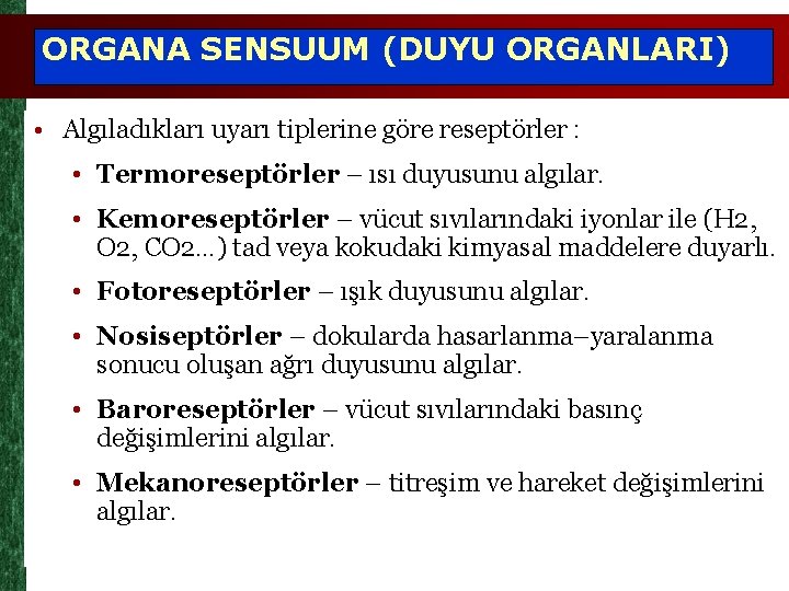 ORGANA SENSUUM (DUYU ORGANLARI) • Algıladıkları uyarı tiplerine göre reseptörler : • Termoreseptörler –