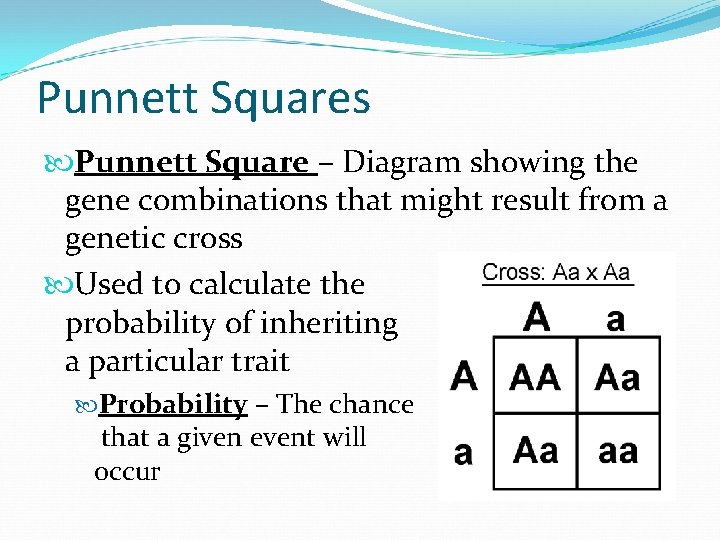 Punnett Squares Punnett Square – Diagram showing the gene combinations that might result from