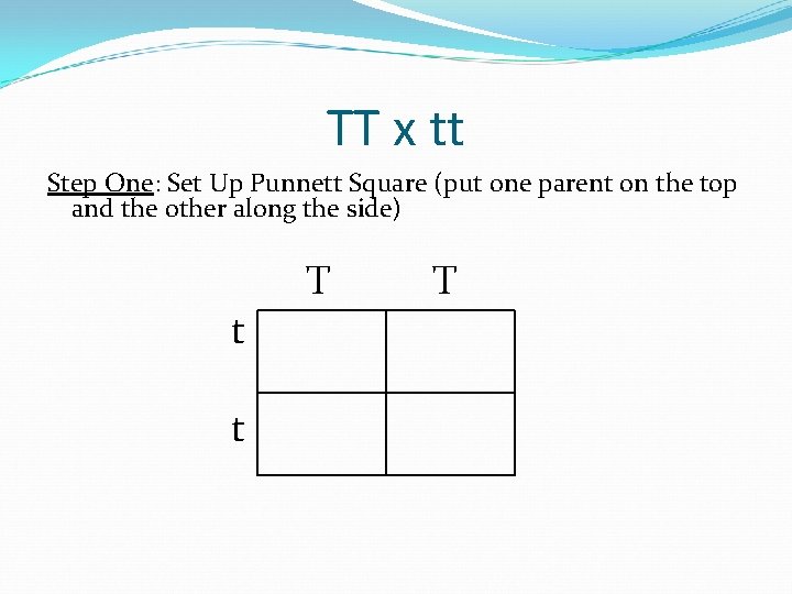 TT x tt Step One: Set Up Punnett Square (put one parent on the TT x tt Step One: Set Up Punnett Square (put one parent on the