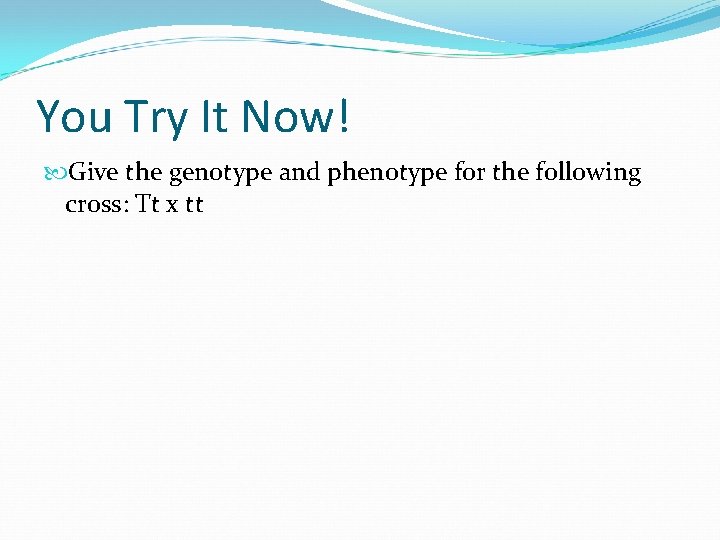 You Try It Now! Give the genotype and phenotype for the following cross: Tt You Try It Now! Give the genotype and phenotype for the following cross: Tt