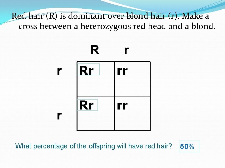 Red hair (R) is dominant over blond hair (r). Make a cross between a