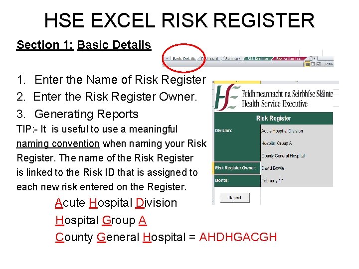 HSE EXCEL RISK REGISTER Section 1: Basic Details 1. Enter the Name of Risk