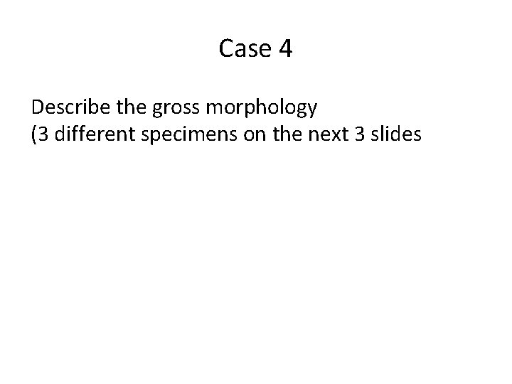 Case 4 Describe the gross morphology (3 different specimens on the next 3 slides