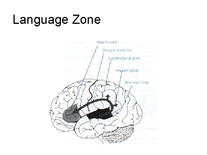 Language Zone Language Zone