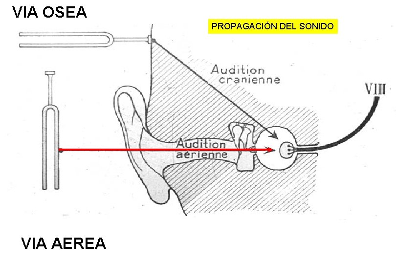 VIA OSEA PROPAGACIÓN DEL SONIDO VIA AEREA 