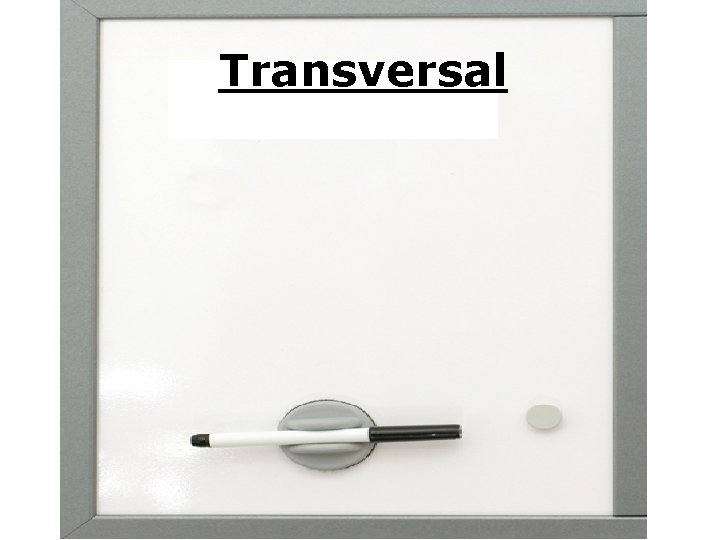 Transversal 