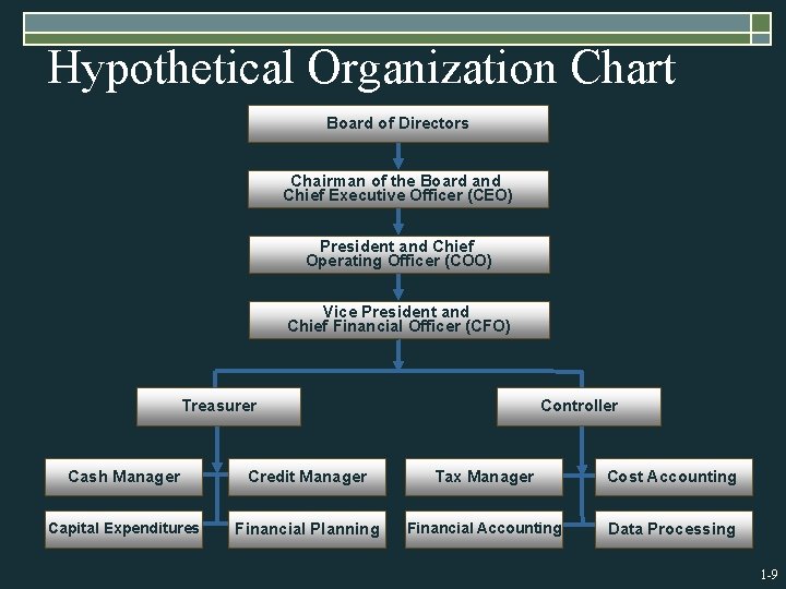 Hypothetical Organization Chart Board of Directors Chairman of the Board and Chief Executive Officer