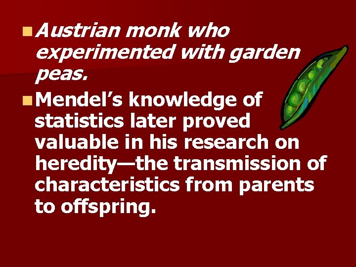 n Austrian monk who experimented with garden peas. n Mendel’s knowledge of statistics later n Austrian monk who experimented with garden peas. n Mendel’s knowledge of statistics later
