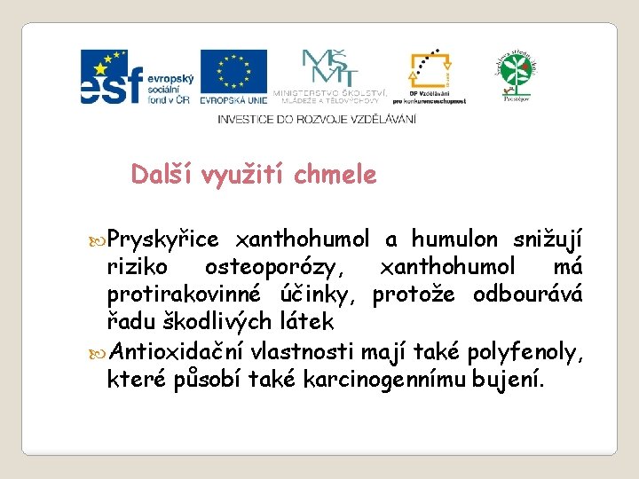 Slide 2…atd Další využití chmele Pryskyřice xanthohumol a humulon snižují riziko osteoporózy, xanthohumol má Slide 2…atd Další využití chmele Pryskyřice xanthohumol a humulon snižují riziko osteoporózy, xanthohumol má