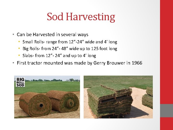 Sod Harvesting • Can be Harvested in several ways • Small Rolls- range from