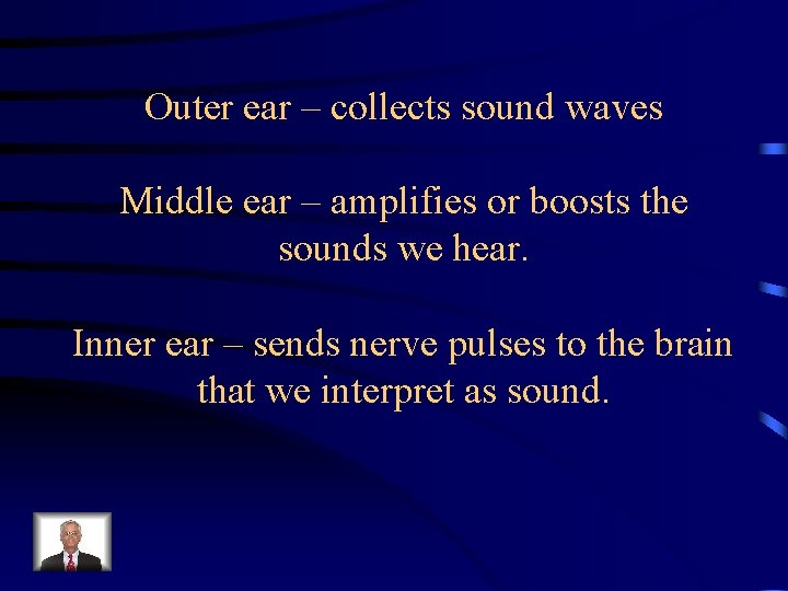 Outer ear – collects sound waves Middle ear – amplifies or boosts the sounds
