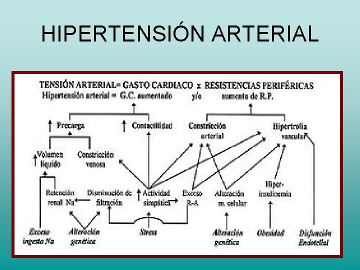 HIPERTENSIÓN ARTERIAL HIPERTENSIÓN ARTERIAL