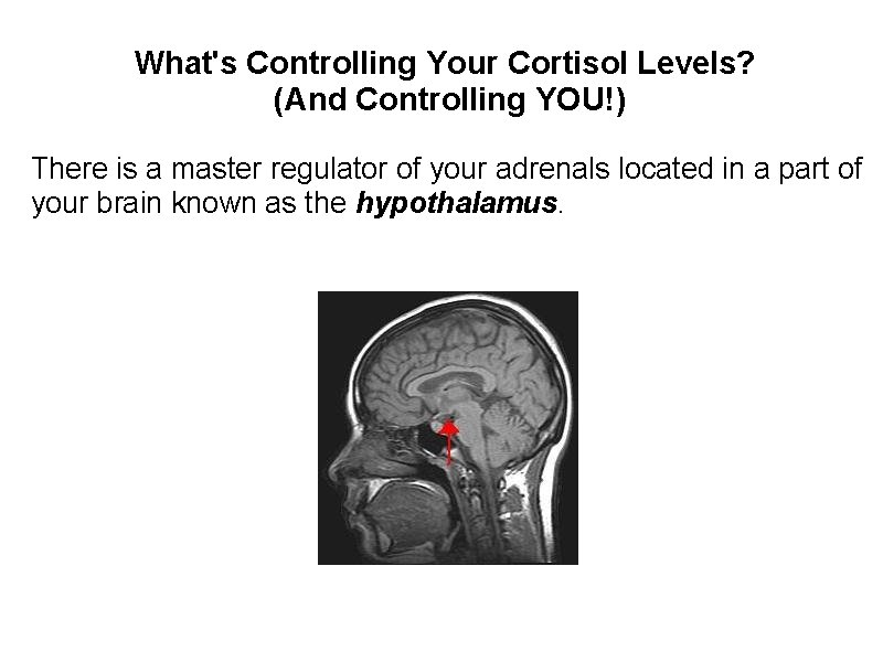 What's Controlling Your Cortisol Levels? (And Controlling YOU!) There is a master regulator of