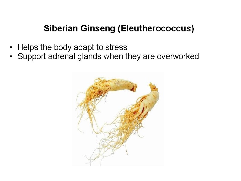 Siberian Ginseng (Eleutherococcus) • Helps the body adapt to stress • Support adrenal glands